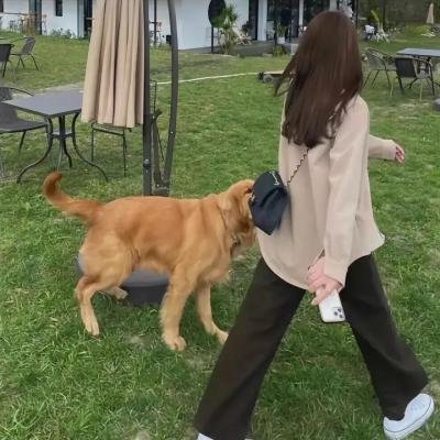 入谜